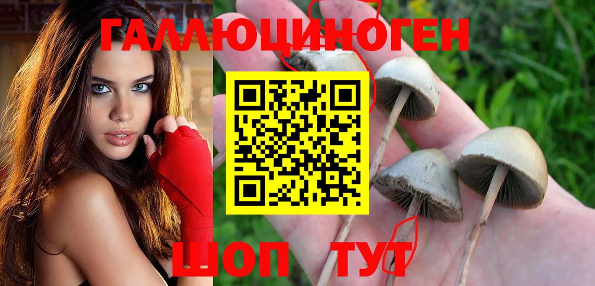 Псилоцибиновые грибы мицелий  Вход с VPN  Бор 